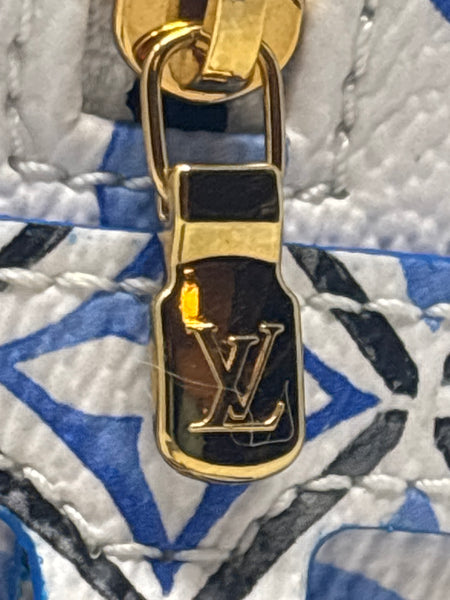 Louis Vuitton Wapity Case