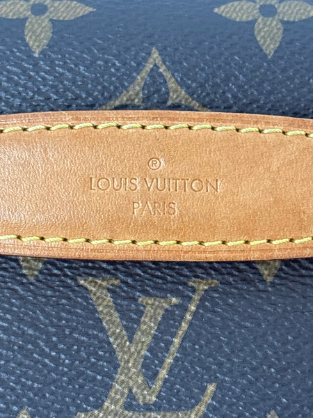 Louis Vuitton Monogram Bum Bag